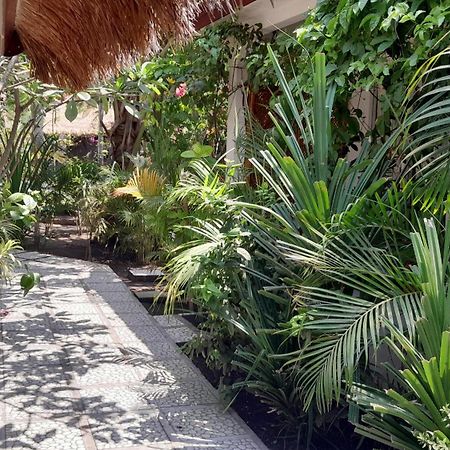 Wombat'S B&B Gili Trawangan Exteriör bild
