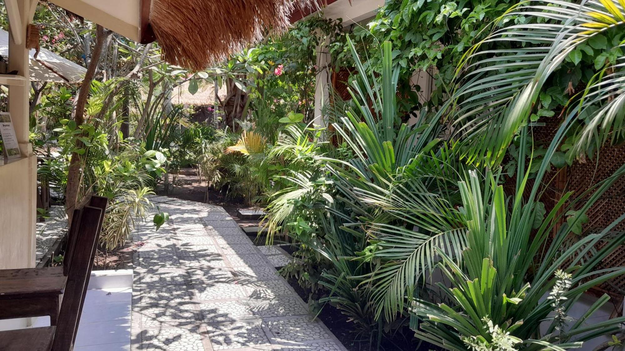 Wombat'S B&B Gili Trawangan Exteriör bild